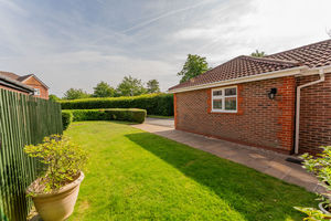 Front Garden- click for photo gallery
